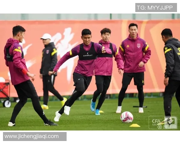 成都极限运动队团队协作表现的数据分析与提升策略探讨