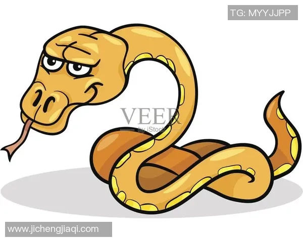 蛇足球头像的创意设计与象征意义探讨